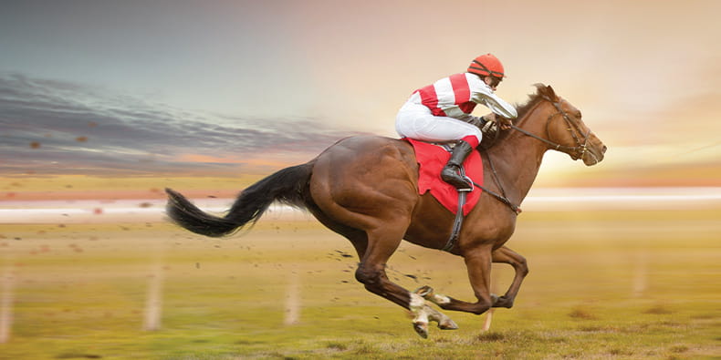  Jockey Riding A Horse On A Race