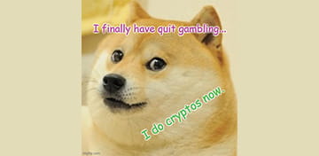 Gambling Meme Doge