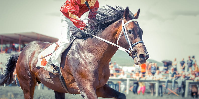 A racing horse in action